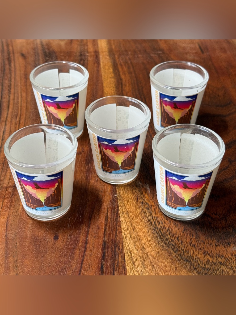 Grand Canyon National Park Shot Glass Lot (5)